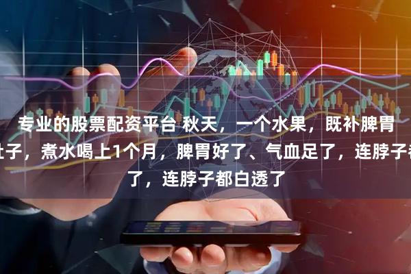 专业的股票配资平台 秋天，一个水果，既补脾胃，又瘦肚子，煮水喝上1个月，脾胃好了、气血足了，连脖子都白透了
