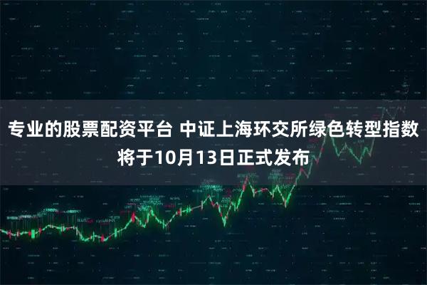 专业的股票配资平台 中证上海环交所绿色转型指数将于10月13日正式发布