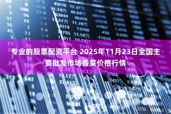专业的股票配资平台 2025年11月23日全国主要批发市场香菜价格行情