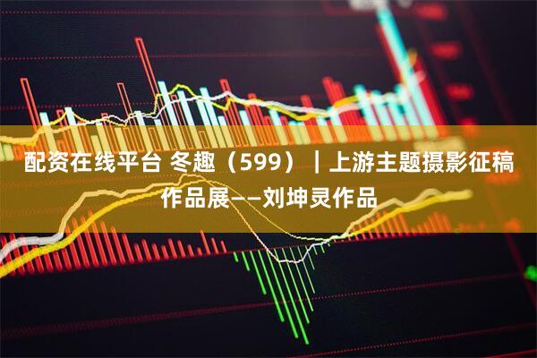 配资在线平台 冬趣（599）｜上游主题摄影征稿作品展——刘坤灵作品
